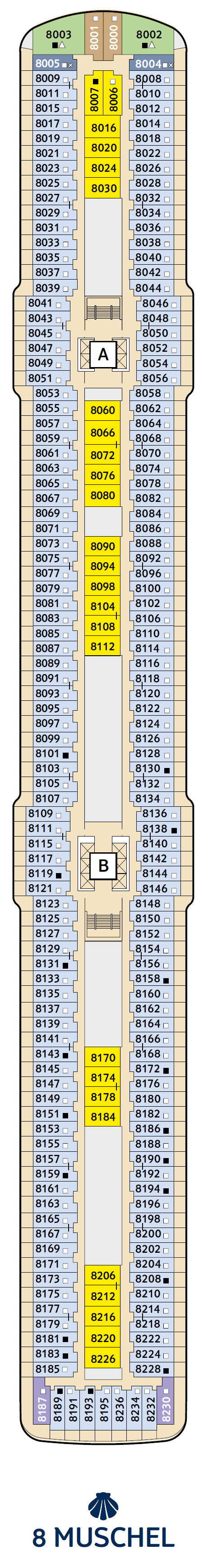 8 Muschel