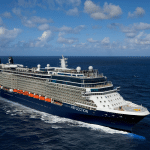 Celebrity Reflection